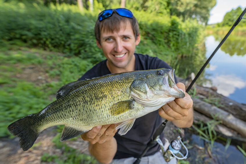 fisherman holding largemouth bass